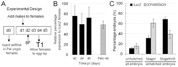 Deleted most of post because i hadn't twigged this was to make a grinding team not. Transcriptional Regulation Of Culex Pipiens Mosquitoes By Wolbachia Influences Cytoplasmic Incompatibility