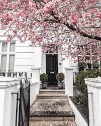 A Flowering Magnolia Tree And Georgian Property In London Fancy Houses London Living Decor