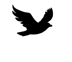 Bird Tattoo 28488 29 Jpg 736 638 Flying Bird Silhouette Bird Silhouette Tattoos Flying Bird Drawing