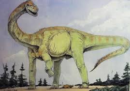Plus your entire music library on all your devices. Britain S Oldest Dinosaur Fossil Found On North Yorkshire Coast Dinosaurs The Guardian