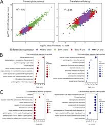 Comparative Analysis Of Gene Expression In Virulent And