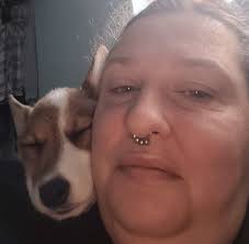 Do other breeds have velcro dogs like corgis?