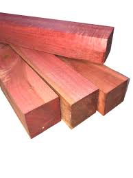 Image result for Berchemia zeyheri