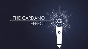 Cardano foundation is a blockchain and cryptocurrency organisation based in. Home