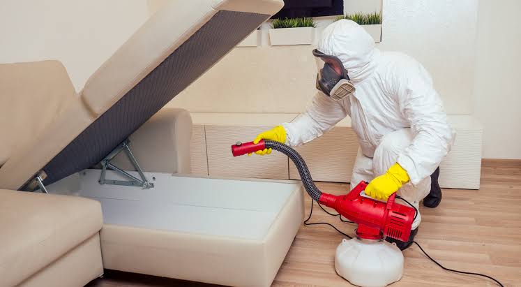 Bed bug heat treatment equipment in a bedroom