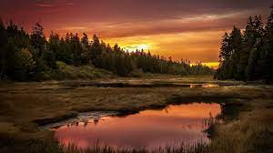 Sunset100 High Definition Wallpaper Forest Landscape Landscape Sunset Hd Nature Wallpapers