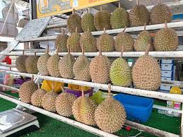 Di indonesia sendiri, durian musang king masih terbilang langka. Price Of Musang King Falls The Star