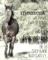 I Love Horses Inspirational Horse Quotes Horse Riding Quotes Equine Quotes