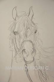 Sketch Of My Stallion Ez Talon Paard Tekeningen Schetsen Paarden