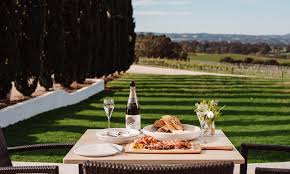 A new view at The Lane Vineyard