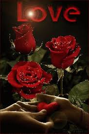 Rote Rosen Blume Rote Rose Liebe Schone Rose Dreamies De