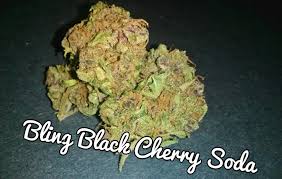I remember my first time and there was nothing going pop, or exploding, and certainly nothing about the experience made me think of cherries at all. My Favorite Strains Bling Black Cherry Soda Weedist