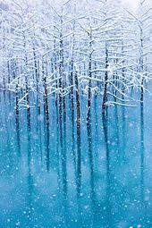 初雪 青い池 白金の森から 美しい絵画 日本画 雪景