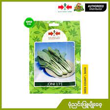 EAST-WEST SEED – CHAISIM – ONI F1 မုံညင်းဖြူ မျိုးစေ့ (VP-3000 Seeds) -  EWS01004