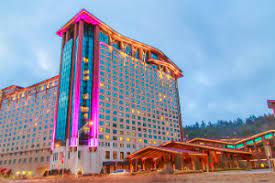 Wsop Circuit Harrah S Cherokee Main Event Draws 1 127 Entries Heads Into Day 2 With 117 Survivors