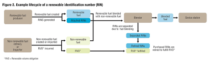 101 for rins biocycle biocycle