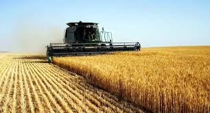 23 февраля «агробизнес» сыграл спарринг с призером высшей лиги беларуси. Agrobiznes