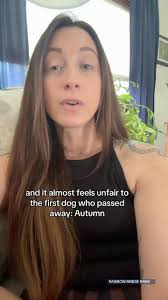 Just feelin’ my way through a new grief experience and hoping I’m honoring  my angels the best I can♥️, #petloss #petlossgrief