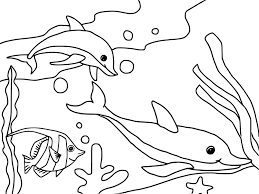 Gambar pemandangan di dasar laut indonesia tentunya dipenuhi dengan terumbu karang dan ikan ikan dengan bentuk yang unik di pantai raja ampat. Halaman Pewarna Lautan Dicetak Percuma Untuk Kanak Kanak Sifat Mac 2021