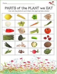 Parts Of The Plants We Eat Plant Lessons Garden Activities Plant Activities