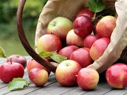 Berbanding epal merah yang lebih manis, epal hijau mengandungi lebih banyak: Apple Tree Kesegaran Penerangan Foto Ulasan Ciri Ciri Penanaman Dan Penjagaan