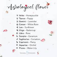 But unlike our calendar months, time for what are the three modalities of the zodiac? Dailyhoroscope Todayhoroscope Horoscope October What Flower Are You Based On Your Zodiac Sign Sh Zodiac Signs Pisces Zodiac Star Signs Zodiac Signs Colors
