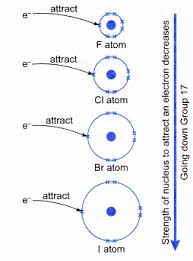 Physical Chemical Properties Group 17 Elements 4 Physical And Chemical Properties Chemical Property Physics