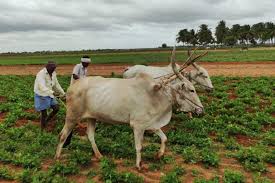 Get the latest karnataka state news headlines and breaking news updates in kannada. Conservation News On Karnataka
