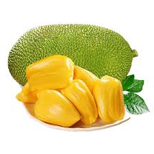 They are listed alphabetically for quick and easy reference. Factory Supply Red And Yellow Flesh Jackfruit Jack Tree Artocarpus Heterophyllus Seeds For Planting And Grafting Buy Wholesale Jackfruit Seeds High Quality Jack Tree Seeds High Germination Rate Artocarpus Heterophyllus Seeds Product On