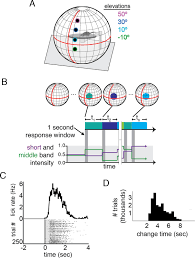 Jun 07, 2021 · hong kong/new york/london (june 7): Mouse Color And Wavelength Specific Luminance Contrast Sensitivity Are Non Uniform Across Visual Space Elife