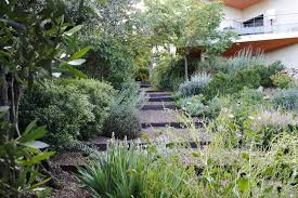 Jean Jacques Derboux Paysagiste Jardins Mediterraneens Sans Arrosage
