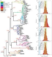 Start your first free lesson now. Language Tree Divergence Times Support The Anatolian Theory Of Indo European Origin Nature
