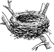 Publicdomainvectors Org Vogel Nest In 2020 Vogels Tekenen Vogelnesten Vogels