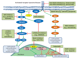 Detection and diagnosis catching cancer early often allows for more treatment options. Ijms Free Full Text Molecular Characterization Of Epithelial Ovarian Cancer Implications For Diagnosis And Treatment