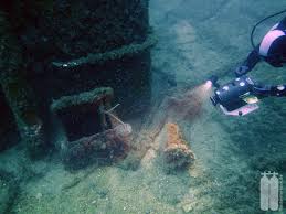 Zerschellte schiffswracks auf dem boden, knallbunte korallenriffe an steilen wänden und mystische grotten warten auf dich. Sommerurlaub 2014 Insel Krk Kroatien Wrack Peltastis Freshwater Team De