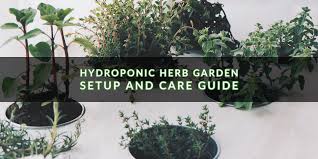 Of course, you don't just have to grow herbs in these pots, but the lack of supplemental grow lighting will limit your options a little. Hydroponic Herb Garden Care Guide Indoor Gardening