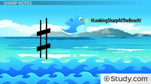 A natural (♮) restores it to the original pitch. Sharps And Flats Reading And Identifying Sharp And Flat Notes In Music Video Lesson Transcript Study Com