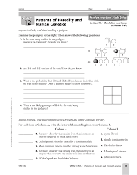 If two heterozygotes have children, what is the chance that a child will have normal skin pigment? 12 Patterns Of Heredity And Human Genetics Chapter