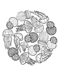 Ocean life jellyfish favoreads original adult. Free Coloring Pages For Adults Jellyfish Coloring And Drawing