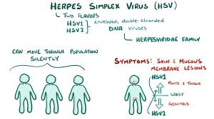 It is also one of the most rampant sexually transmitted diseases. Herpes Simplex Virus Osmosis