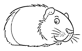 We did not find results for: Pin Von Andrea Zdvorakova Auf Templates Free In 2021 Meerschweinchen