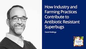 E155: How Industry and Farming Practices Contribute to Antibiotic Resistant  Superbugs