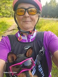 Riding electric scooter with no battery