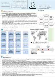 visual resume, infographic resume