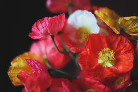 keptflora) • Instagram photos and videos