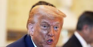 Love Island USA': Massive Dumping Sees 5 Islanders Exit Villa As America  Stands On Business With Record Vote