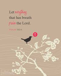 Let Everything That Has Breath Praise The Lord Bible Verse Pin On Favorite Bible Quotes