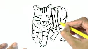 We did not find results for: How To Draw A Tiger 2 In Easy Steps For Children Beginners Youtube