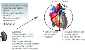 Interpreting Cardiac Biomarkers In The Setting Of Chronic