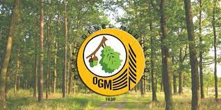 Yi̇rmi̇dördüncü bölüm orman genel müdürlüğü. Orman Genel Mudurlugu 2083 Isci Alacak Memurlar Net